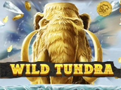 Wild Tundra
